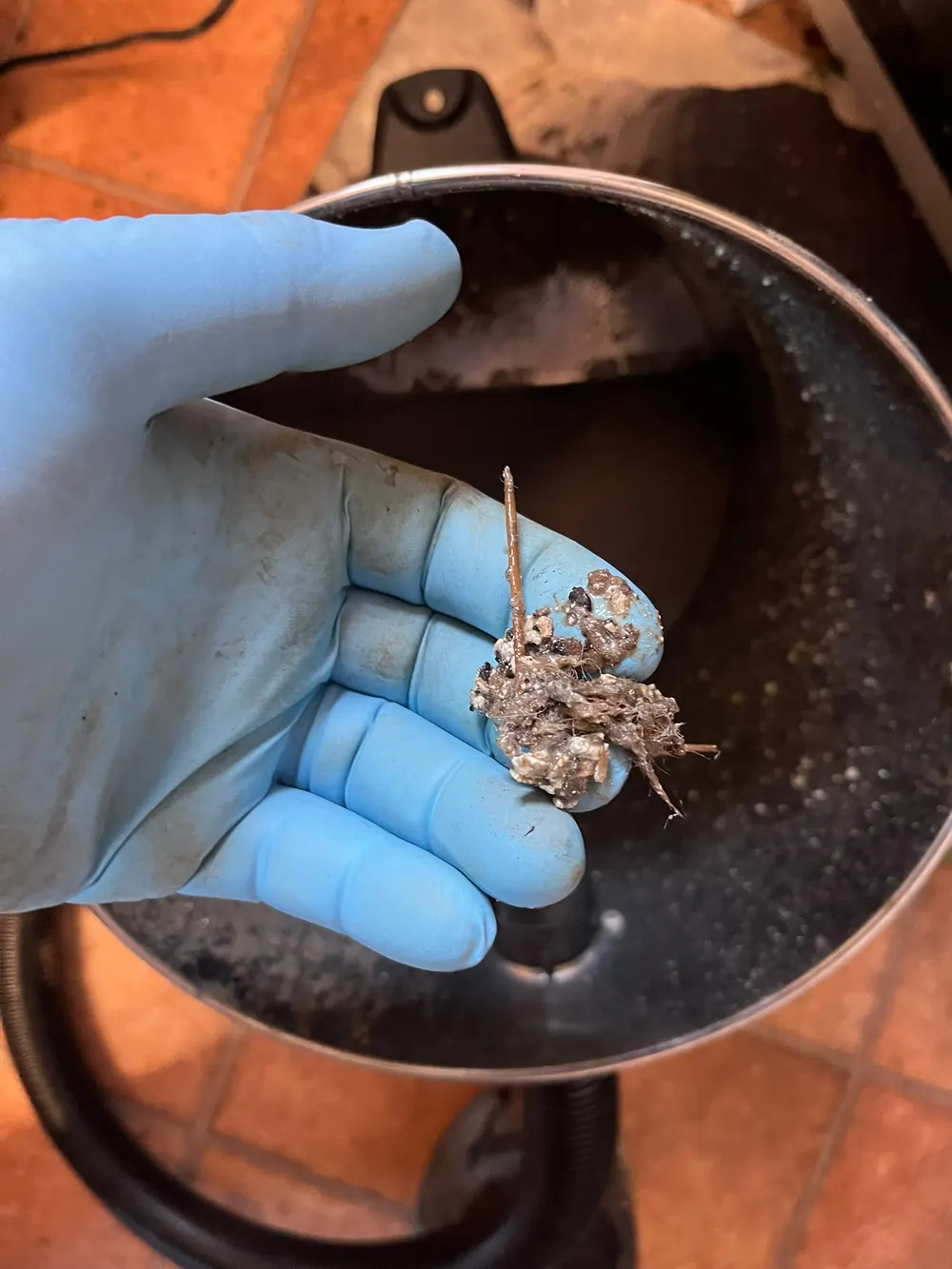 Debris removed from a drainage system